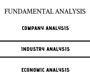 Fundamental Analysis types