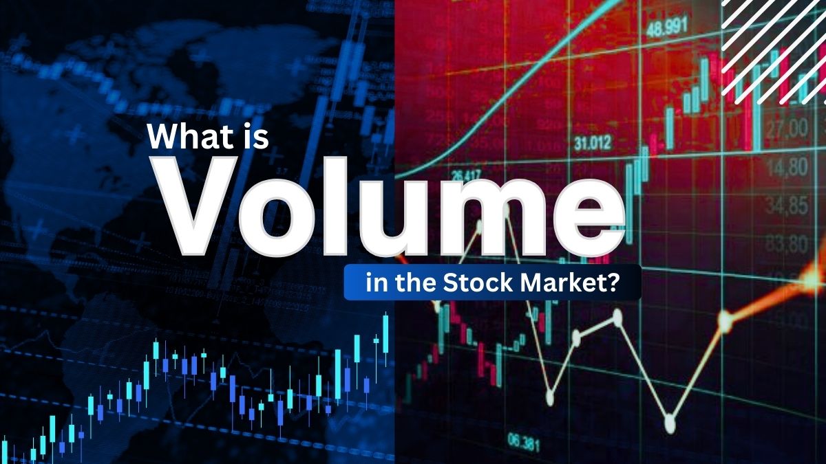 Volume bars with price candles on NSE chart