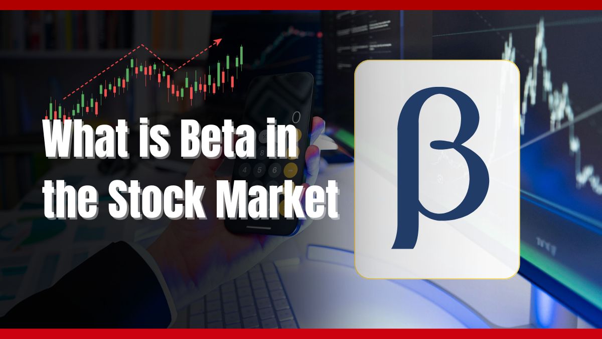Beta meaning in stock market with simple scale