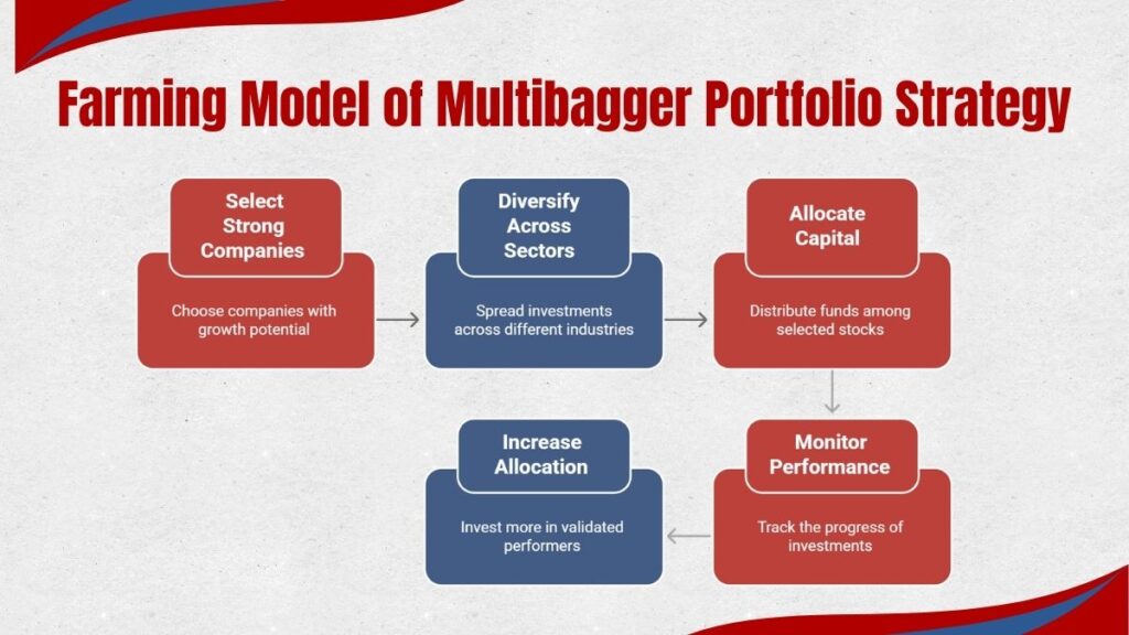 Farming Model of Multibagger Portfolio Strategy